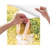 image:imageKODAK Picture Paper Vivid 4x6 100 count 66lb230gm2 weight 119 mil thickness Vivid color picture paper THIS PRODUCT IS NOT COMPATIBLE WITH THE KODAK DOCK PRINTER85 x 11  50 Sheets