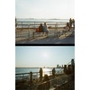 image:imageKodak EKTAR H35N Half Frame Film Camera 35mm Reusable FocusFree Bulb Function Builtin Star Filter Coated Improved Lens Film amp AAA Battery are not Included Striped GreenGlazed Pink