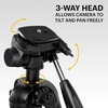 image:imageKodak PhotoGear 2in1 Tripod amp Monopod  Lightweight 70 4Section FlipLock Aluminum Stand Converts to 645 Monopod  QuickRelease Plates 3Way Swivel Head Bubble Level Bonus Stand EGuide amp CaseTripod With Remote