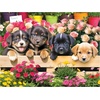 image:imageRoseArt  Kodak  Market Puppies 350 Piece Jigsaw Puzzle for AdultsMarket Puppies