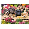 image:imageRoseArt  Kodak  Market Puppies 350 Piece Jigsaw Puzzle for AdultsMarket Puppies