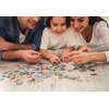 image:imageRoseArt  Kodak Premium  Friendly Birds  1000 Piece Jigsaw Puzzle for AdultsMontpelier