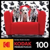 image:imageRoseArt  Kodak Premium  Ocean LOL  100 Piece Jigsaw Puzzle for Kids and AdultsLots of Spots