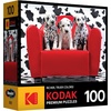 image:imageRoseArt  Kodak Premium  Ocean LOL  100 Piece Jigsaw Puzzle for Kids and AdultsLots of Spots