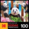image:imageRoseArt  Kodak Premium  Ocean LOL  100 Piece Jigsaw Puzzle for Kids and AdultsPanda Playtime