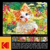 image:imageRoseArt  Kodak Premium Mosaics  Rainbow Tiger  750 Piece Jigsaw Puzzle for AdultsCute Kittens In The Flowers