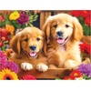 image:imageRoseArt Kodak Premium Puppy Socks 100 Pc Jigsaw Puzzle for the Whole FamilyGolden Puppy Pals