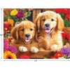 image:imageRoseArt Kodak Premium Puppy Socks 100 Pc Jigsaw Puzzle for the Whole FamilyGolden Puppy Pals