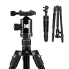 image:imageKODAK 63Inch 2in1 Tripod amp Monopod Bluetooth Remote