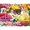 image:imageLPF Flower Market Pups 500 Piece Colorluxe Premium Jigsaw Puzzle
