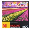 image:imageRoseArt  Kodak Premium  Friendly Birds  1000 Piece Jigsaw Puzzle for AdultsSunset Balloons
