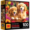 image:imageRoseArt Kodak Premium Puppy Socks 100 Pc Jigsaw Puzzle for the Whole FamilyGolden Puppy Pals