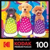 image:imageRoseArt Kodak Premium Puppy Socks 100 Pc Jigsaw Puzzle for the Whole FamilyPuppy Socks