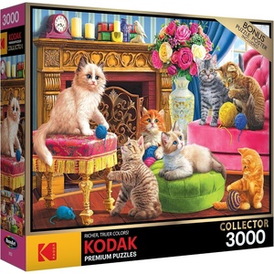 image:imageRoseArt  Kodak Premium  Brandons Bookstore  3000 Piece Jigsaw Puzzle for AdultsKittens by The Fireplace